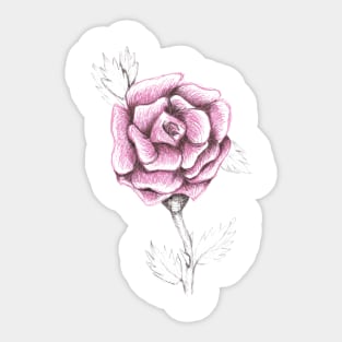 Hand drawn rose Sticker